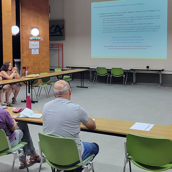 Conférences des Maires de la CAPCA