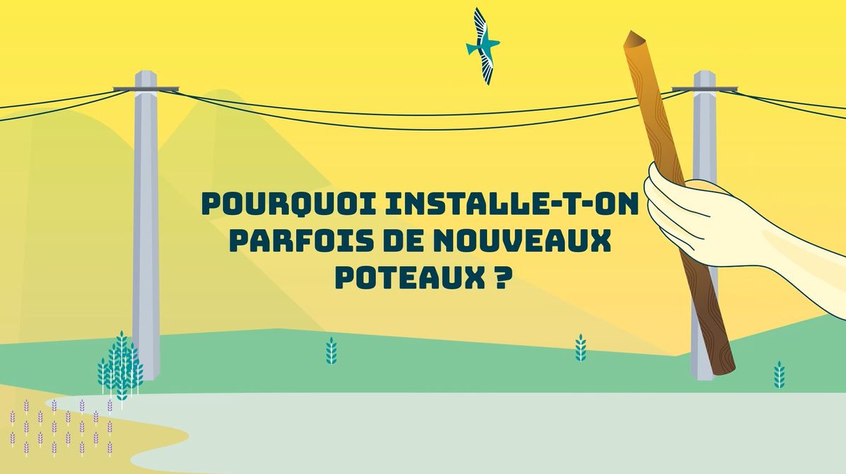 miniature vidéo poteaux