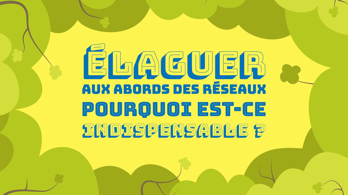 miniature vidéo élagage