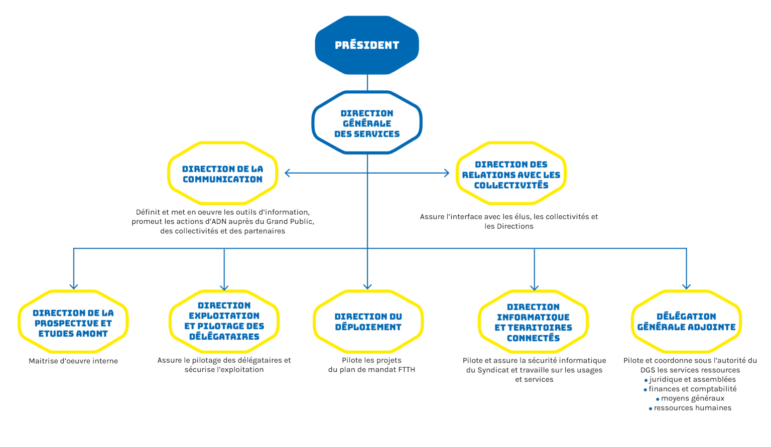 organigramme organisation ADN